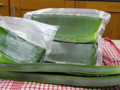 Aloe Vera Slice and Vacuum Pack