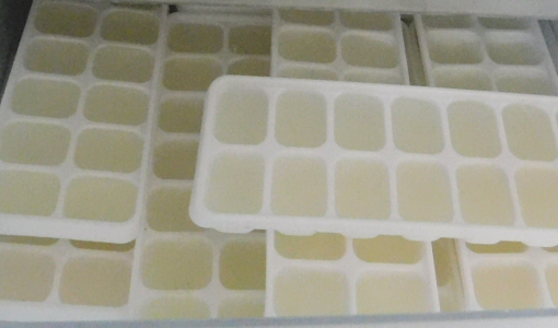 Freeze