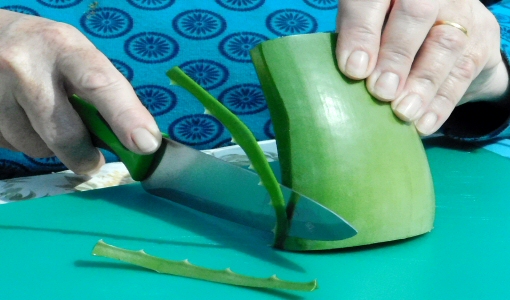 Slice off the spines