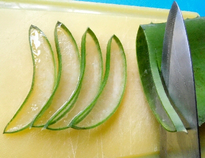 Aloe Vera in Slices