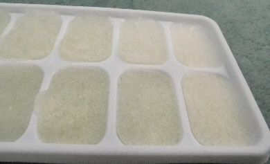 Frozen Cubes of Aloe Vera Gel